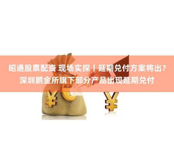 昭通股票配資 現(xiàn)場(chǎng)實(shí)探丨延期兌付方案將出？深圳鵬金所旗下部分產(chǎn)品出現(xiàn)延期兌付